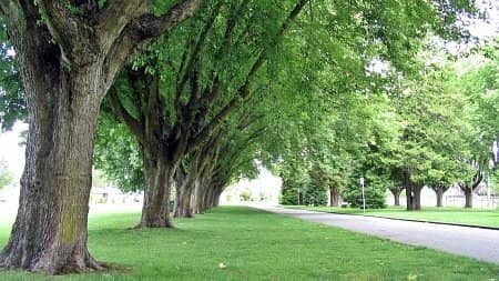 Walk in Vancouver - Kensington - Mountain View