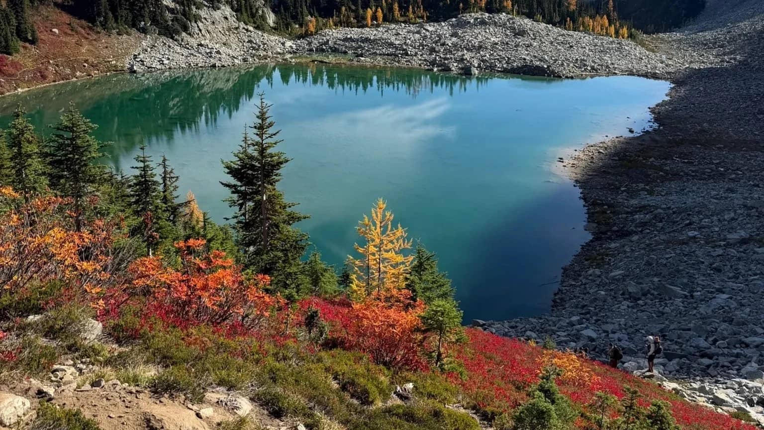 πποΈ MAPLE PASS LOOP + WING LAKE β GOLDEN LARCH MADNESS! ποΈπ