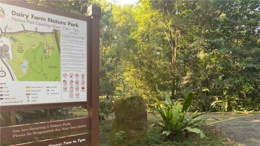 Let's Get Close to Nature -@ Bukit Timah