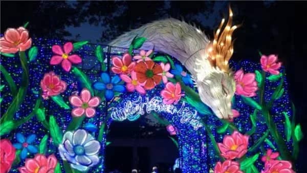 ๐Boston Lights / Franklin Park Zoo LIGHTS!๐ฎ(Dorchester)