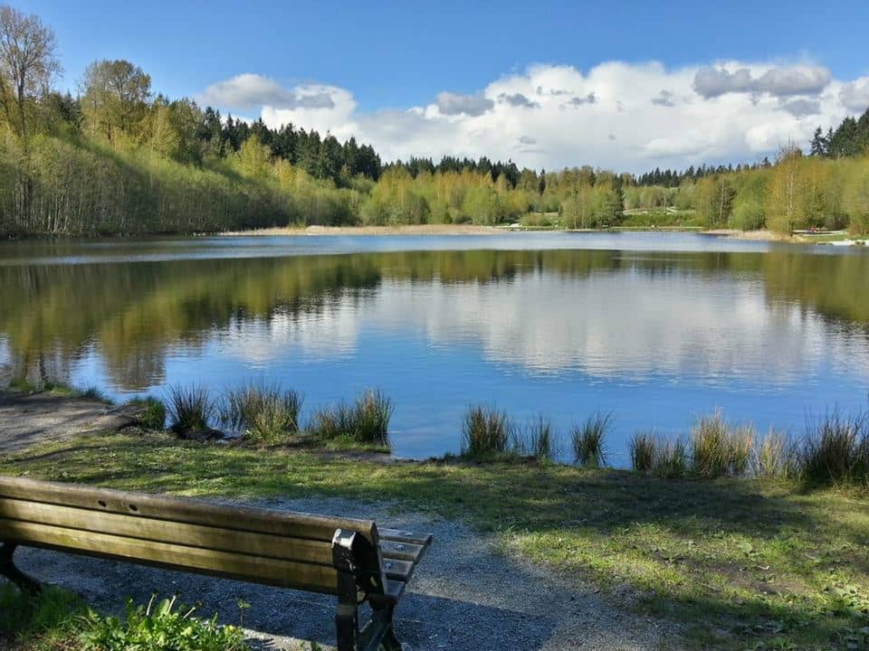 SURREY - Green Timbers, Park Route