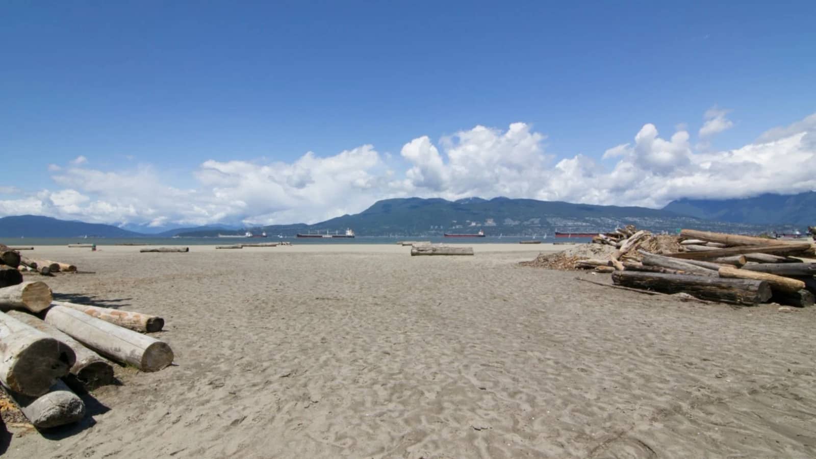 Bike Ride - Burnaby Lake / Jericho Beach - 57276450