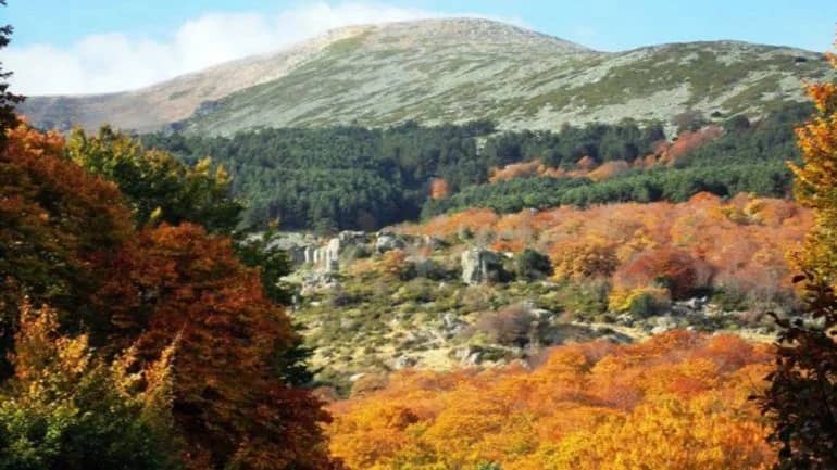 PARQUE NATURAL DEL MONCAYO -ARAGÓN-