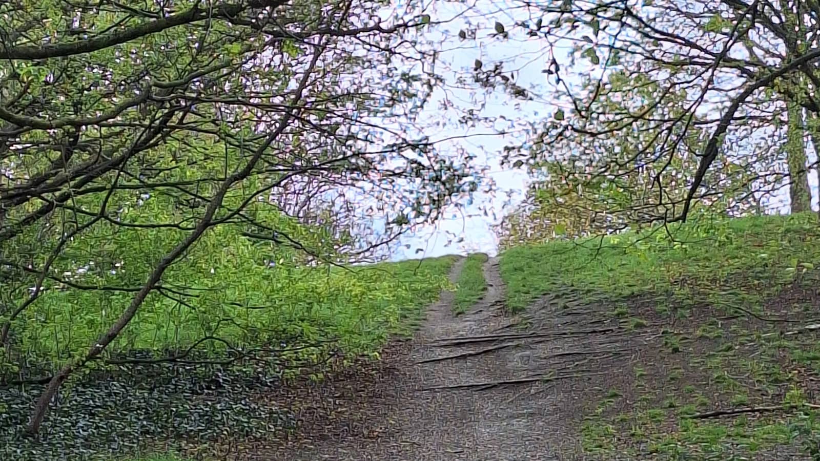 NEW Β£5 GREEN WALK: π³π²πΏ MOTTINGHAM, ELTHAM PALACE and GEENWICH PARK