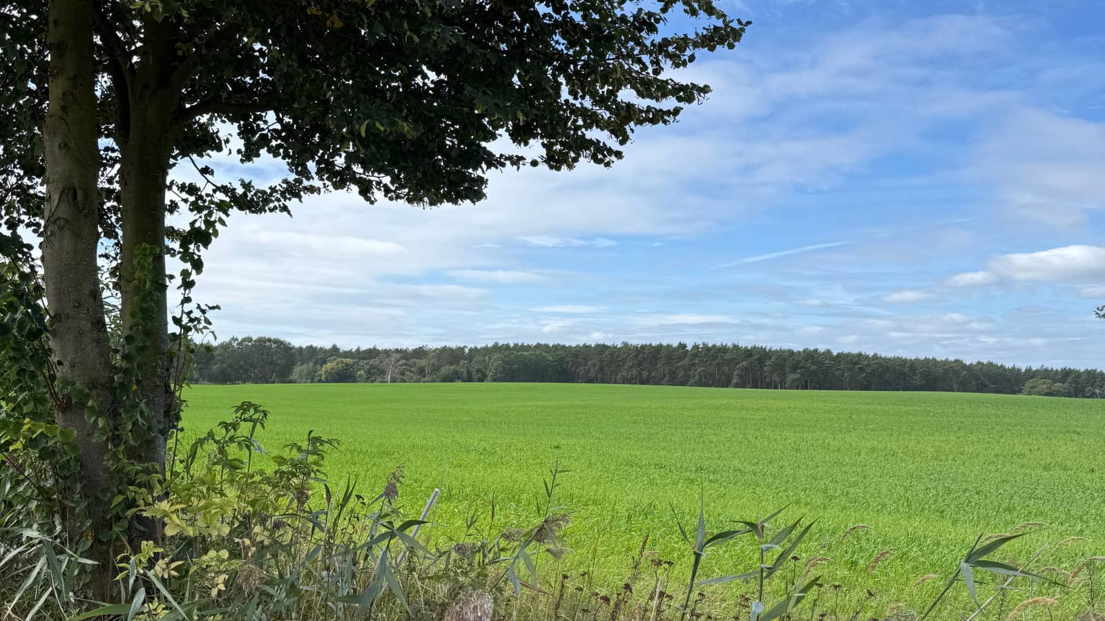 Hike and Reflect - Wandern und Austausch