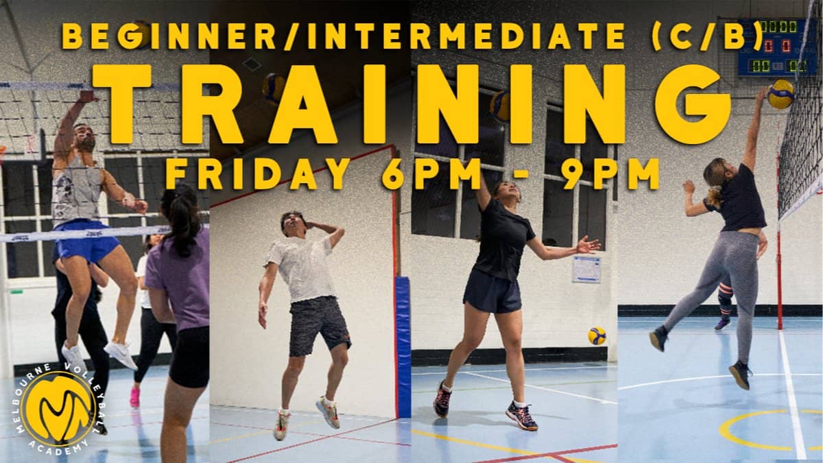 Volleyball Training and Games - Beginner/Intermediate (NMCC)