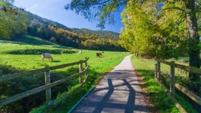 Ruta del hierro desde Sant Joan de les Abadesses a Ripoll
