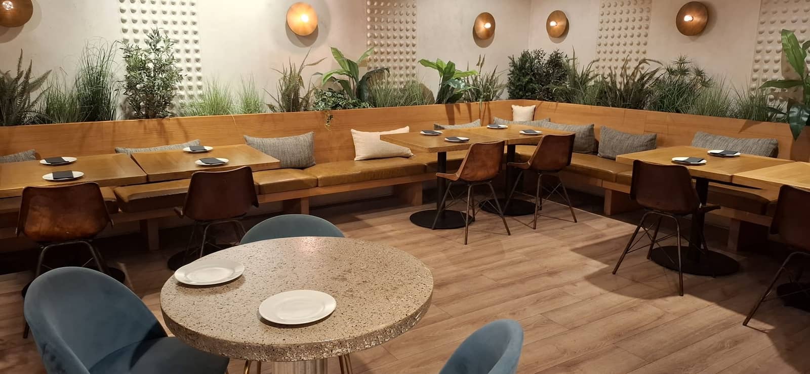 Vermut internacional en Català 🍷- 🤩 Pràctiques de conversa!