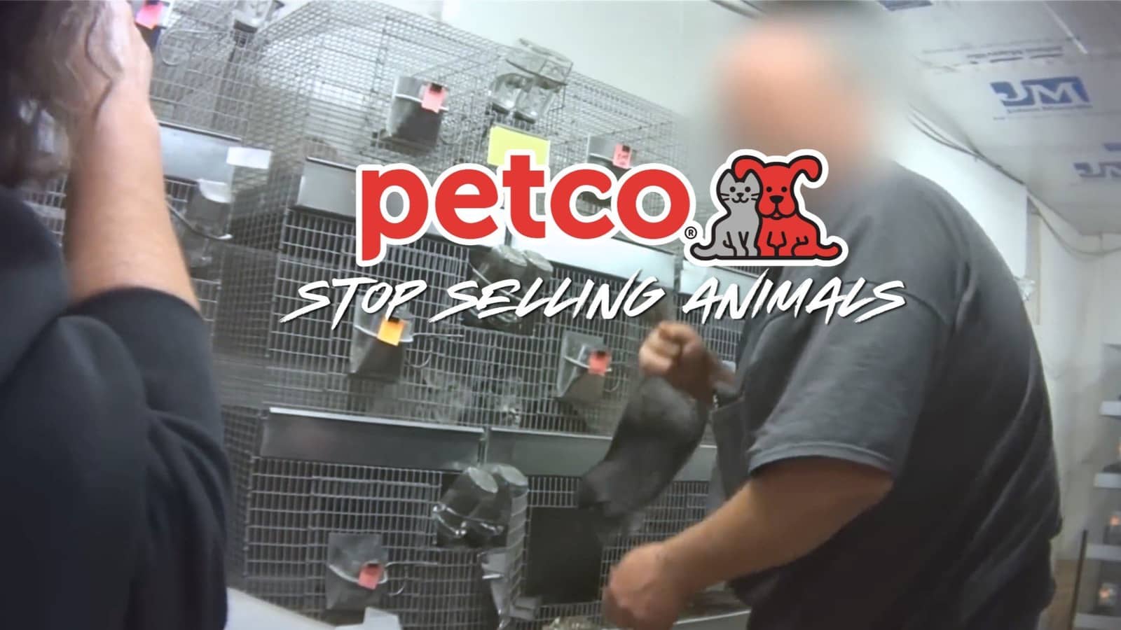 Protest Petco to Stop Selling Animals