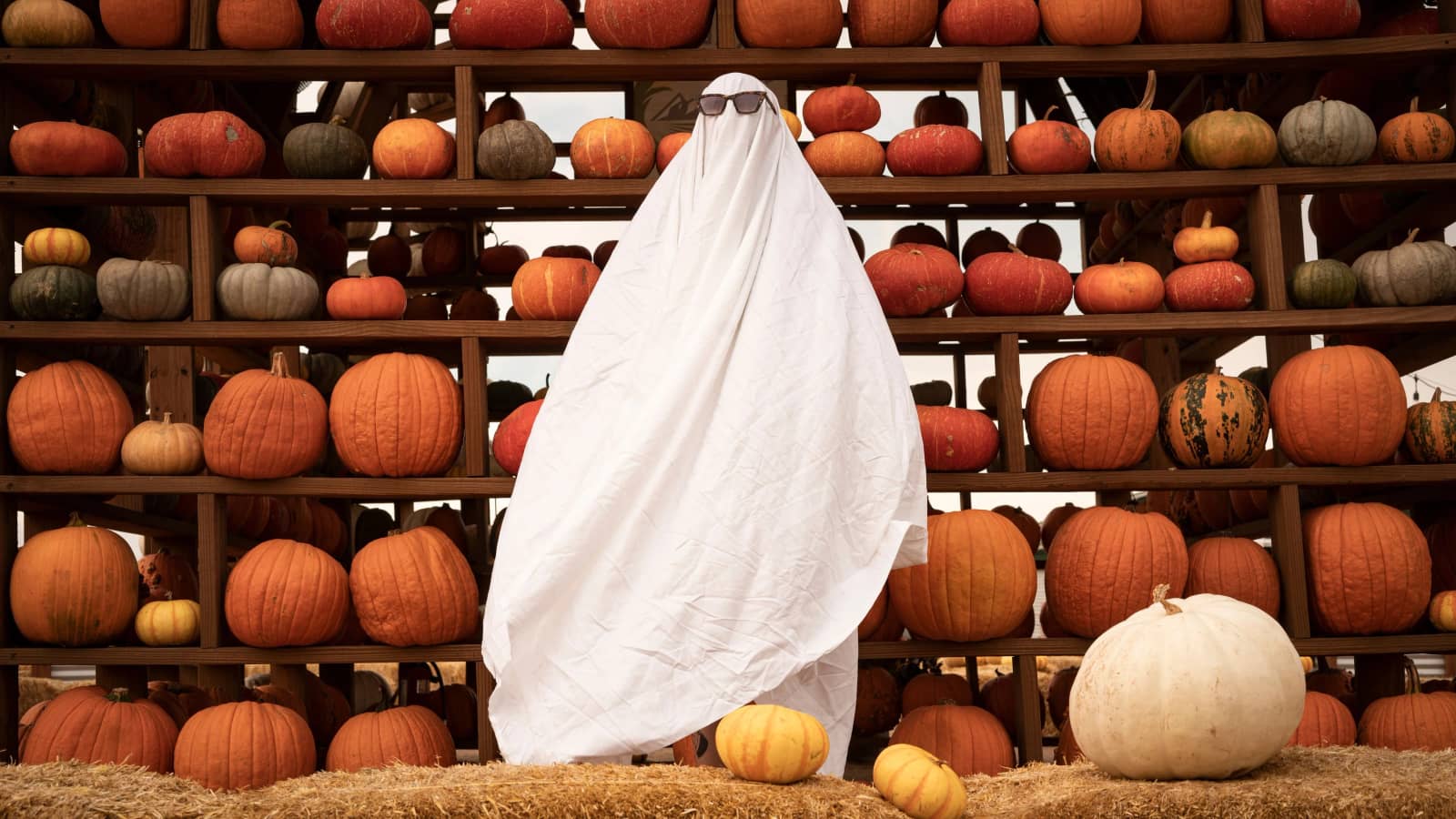 Pumpkin Festival am Himmel