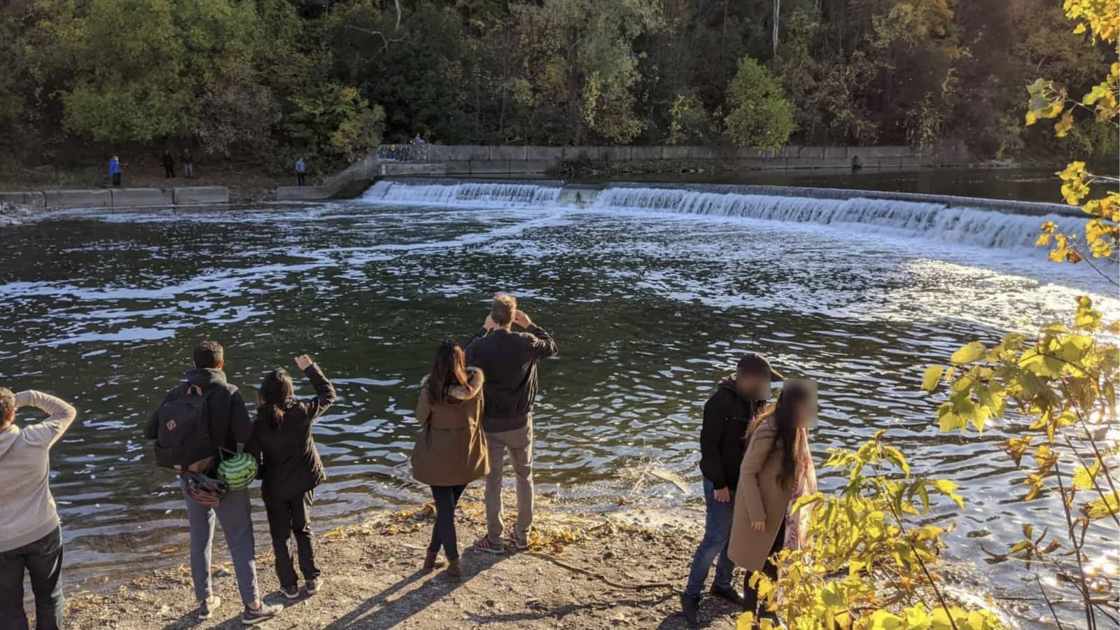 Humber salmon run (5 km)