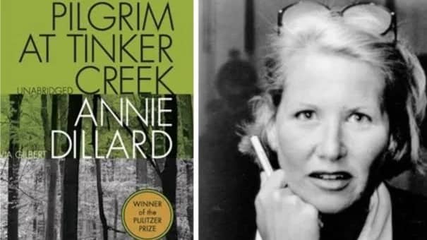 Green Classics Club: Pilgrim at Tinker Street by Annie Dillard