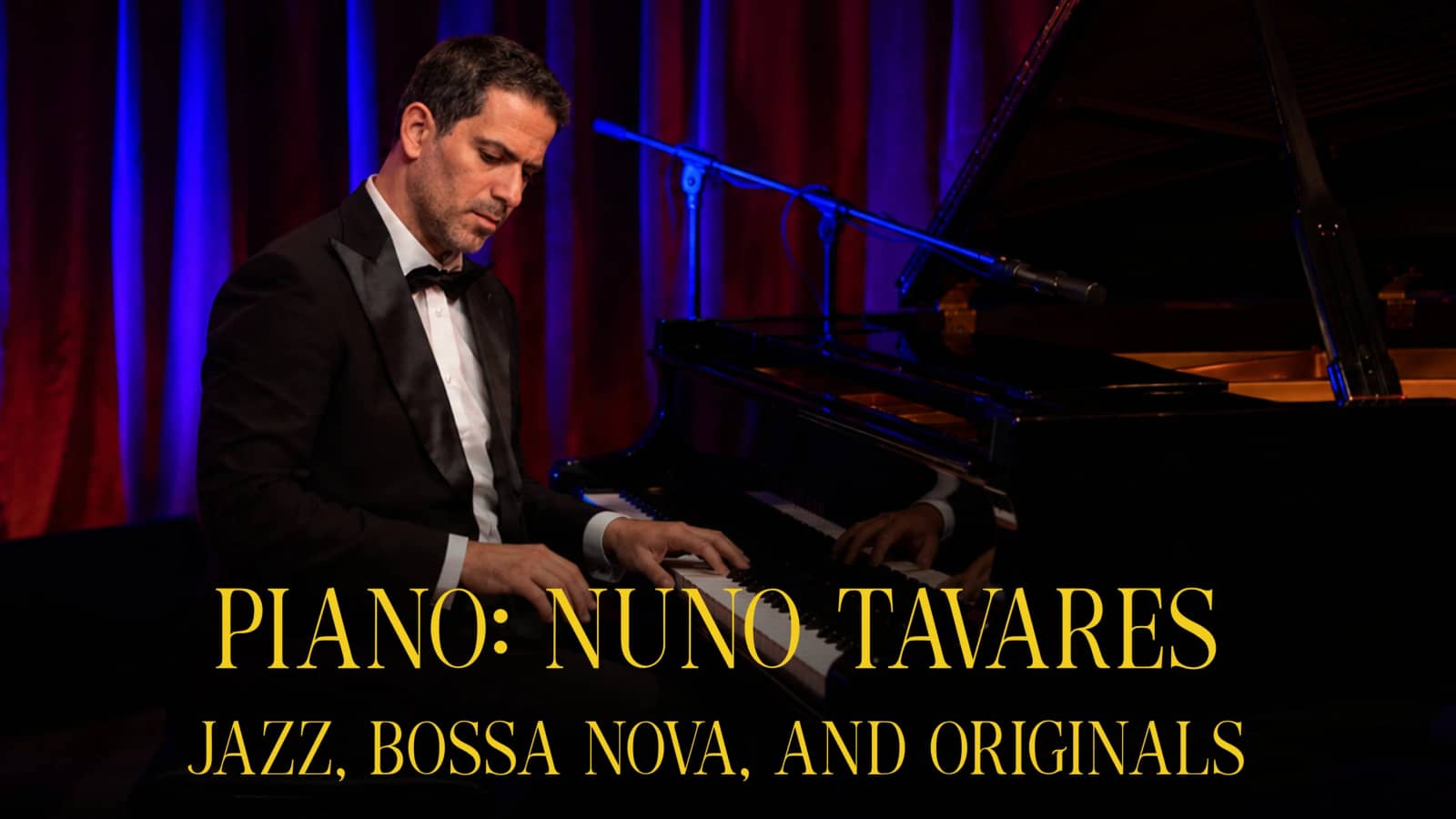 Piano: Nuno Tavares / Live music at the bar