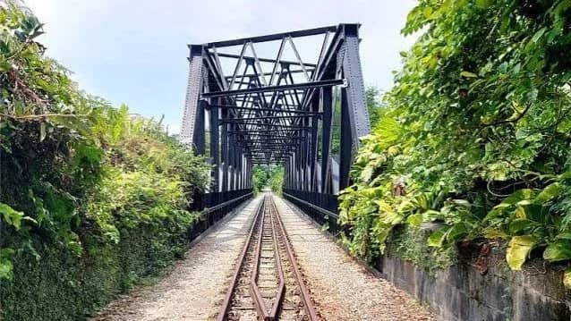 Rail Corridor (Central) Walk & Brunch