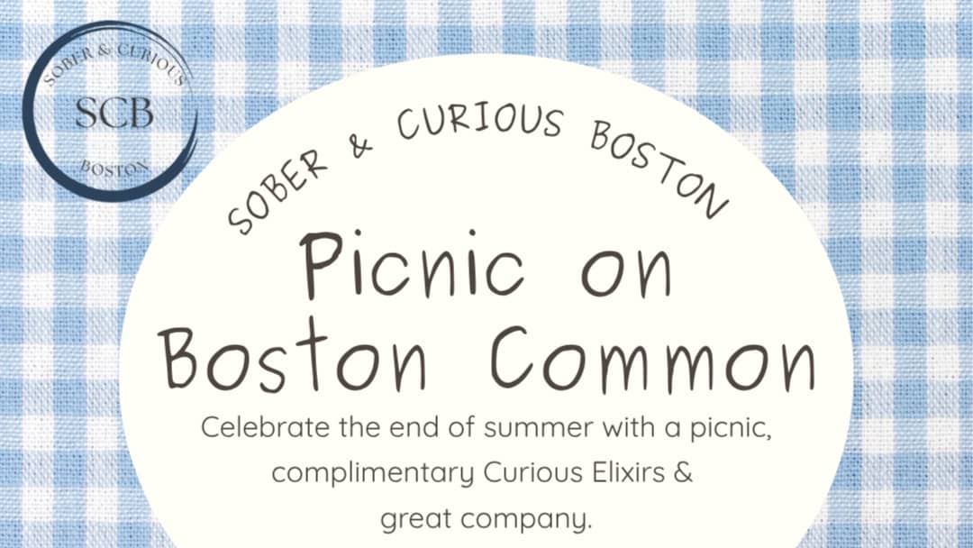 Picnic on Boston Common