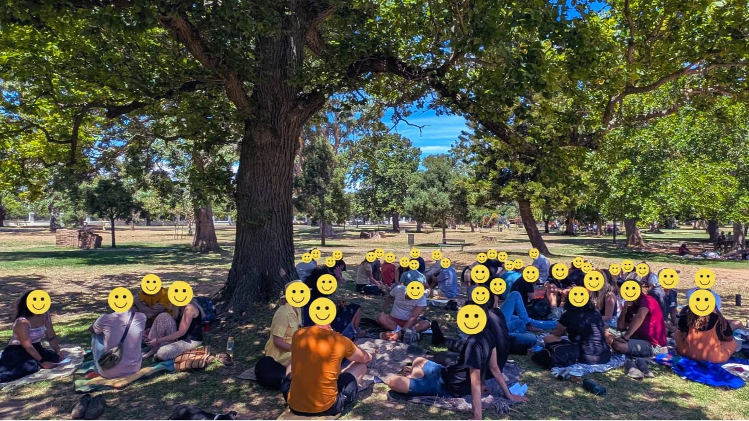 A Day in the Park!