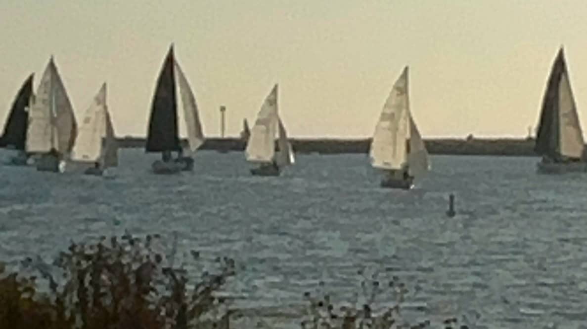 5 mile Marina Del Rey sunset walk, dockweiler, wetlands, jetty, optional potluck