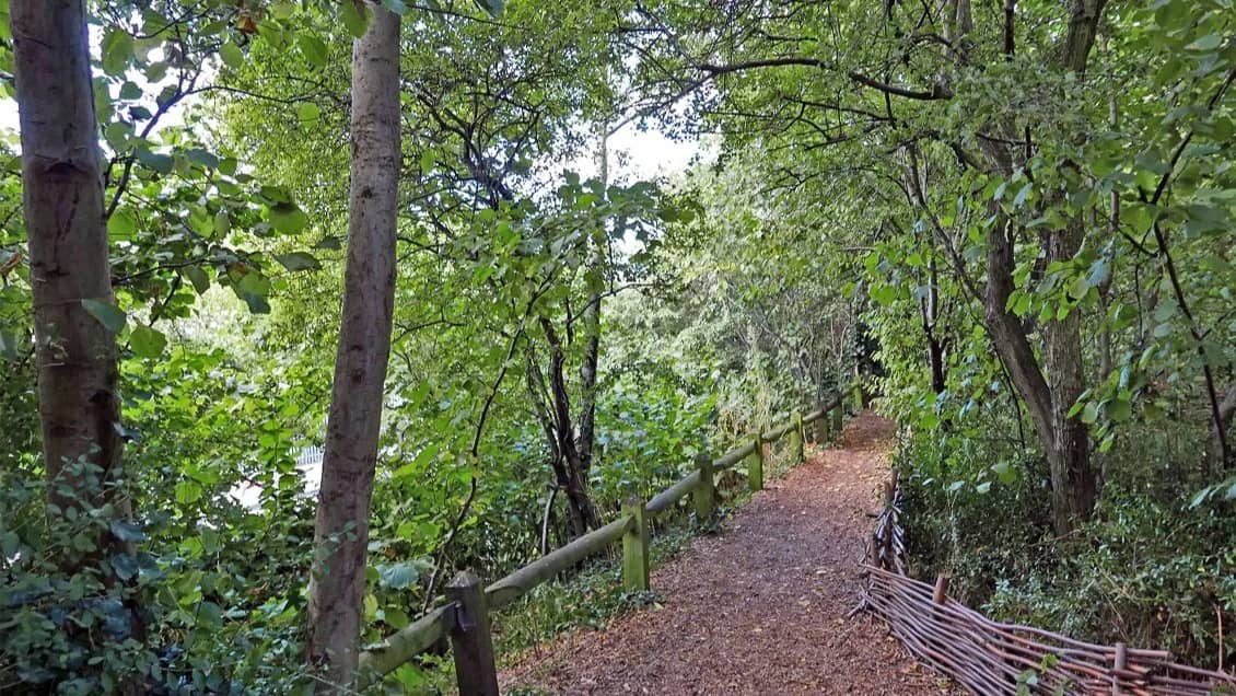 The White Swan Highbury & Islington to Little Venice via Camley Natural Park.