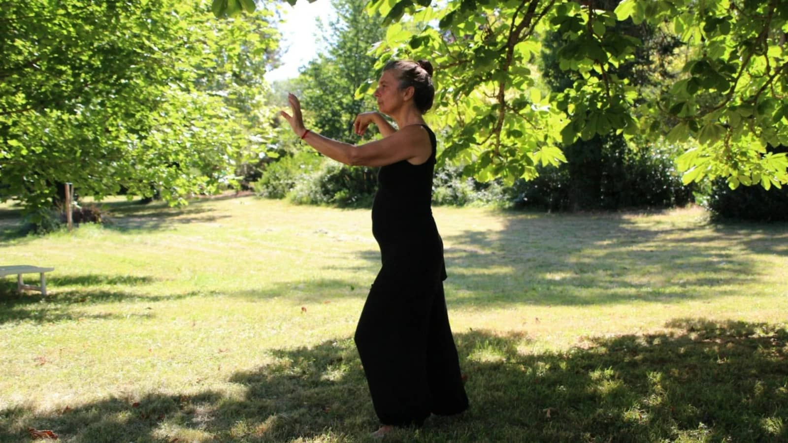 Deceleration in Motion: Taichi & Qigong Workshop