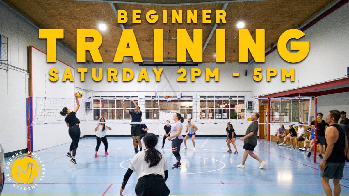 Volleyball Training and Games - Beginner (NMCC)