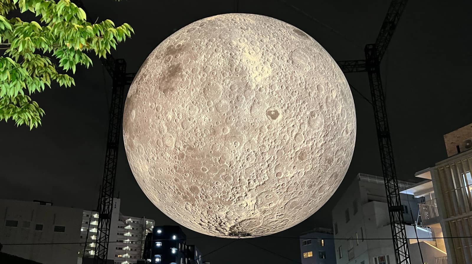 Moon Art Night in Shimokitazawa🌕🐇🎨