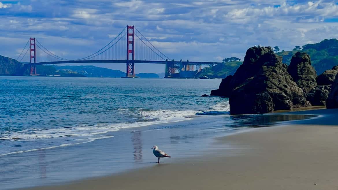 🎨 Wednesday-Baker Beach Plein Air