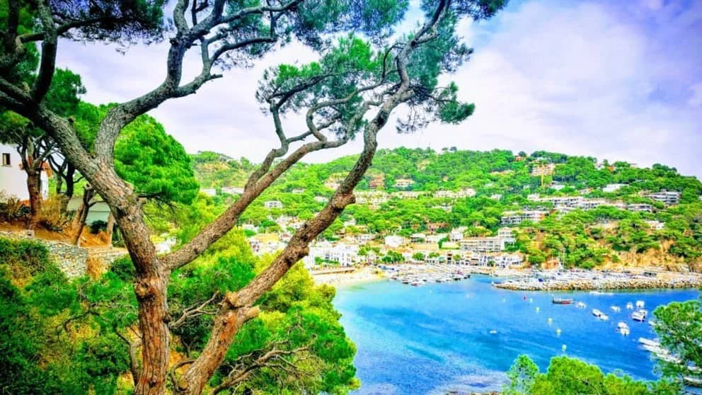 🚗🥾🌳🏊🏻♀️🏖️ PLATJA DE TAMARIU DESDE CALELLA DE PALAFRUGELL🏖️🏊🏻♀️🌳🥾🚗
