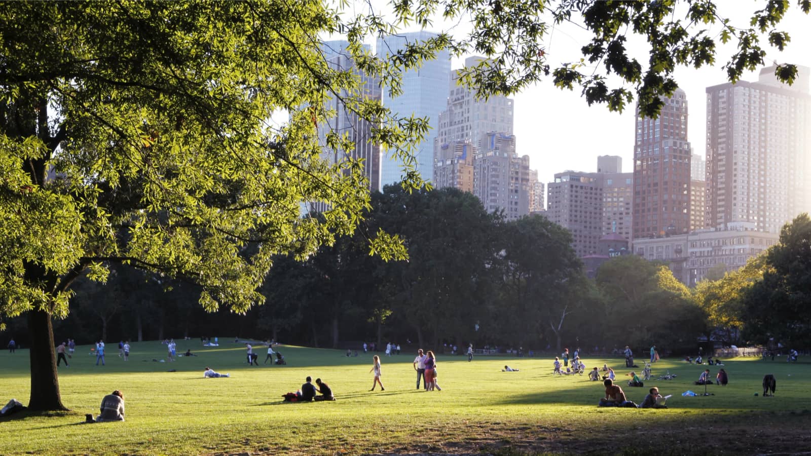 Magnum Al Fresco: Second Sundays Picnic in Central Park!