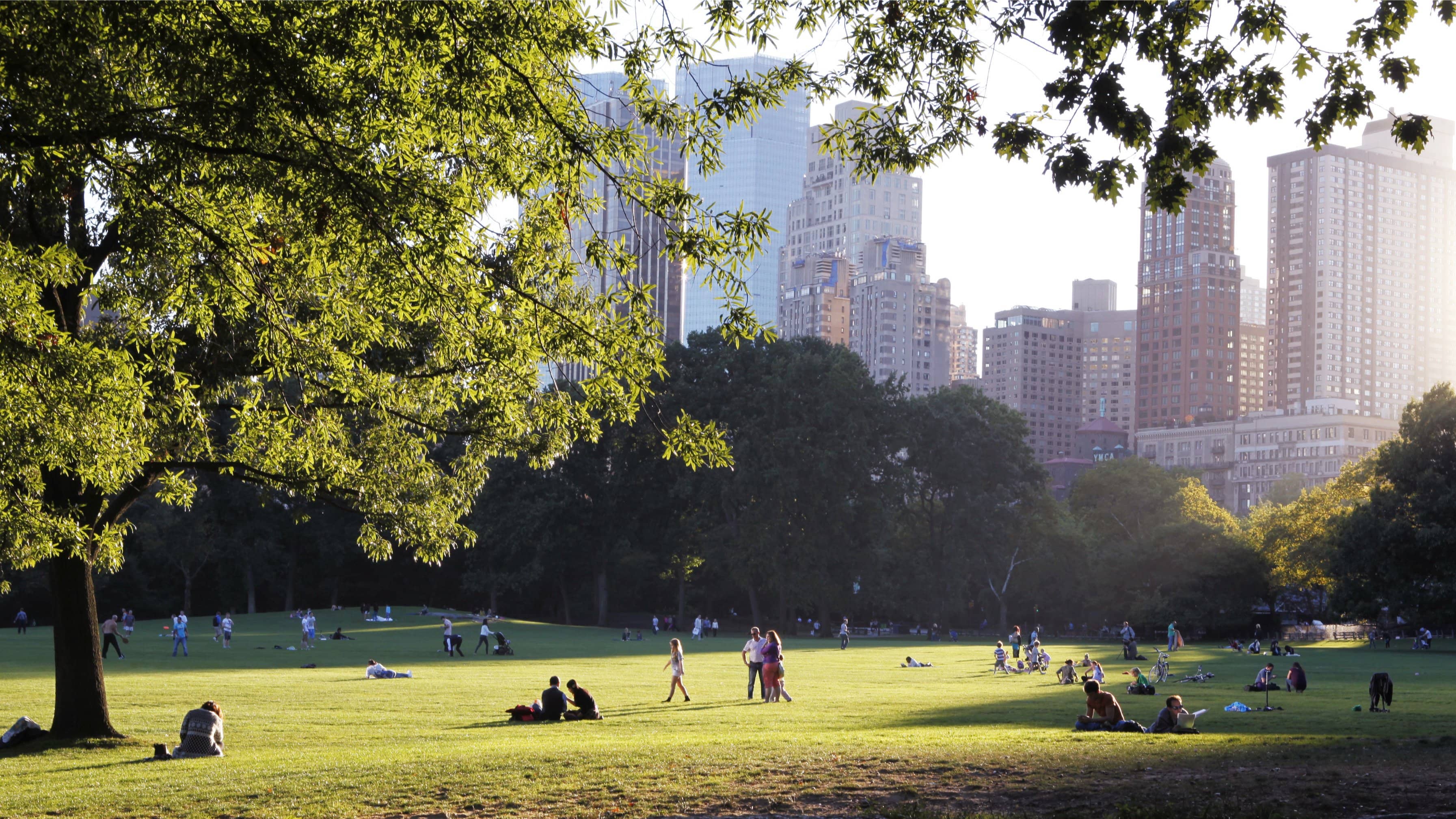 Magnum Al Fresco: Second Sundays Picnic in Central Park!