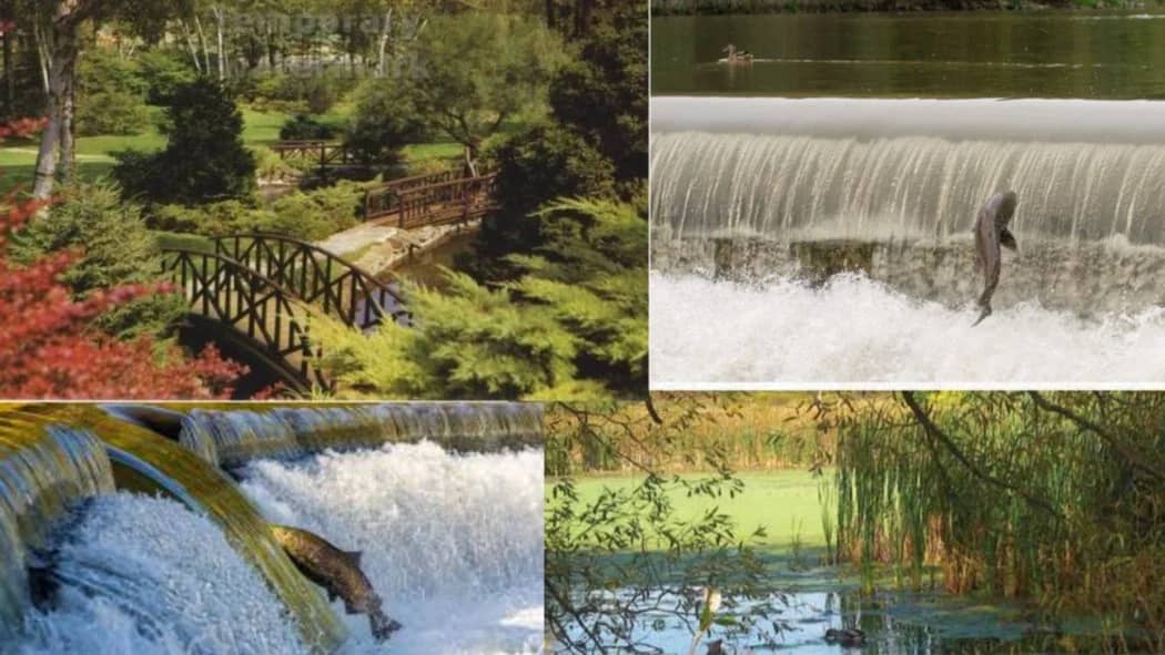 πWalk: Salmon Run at Humber River & James Gardens π