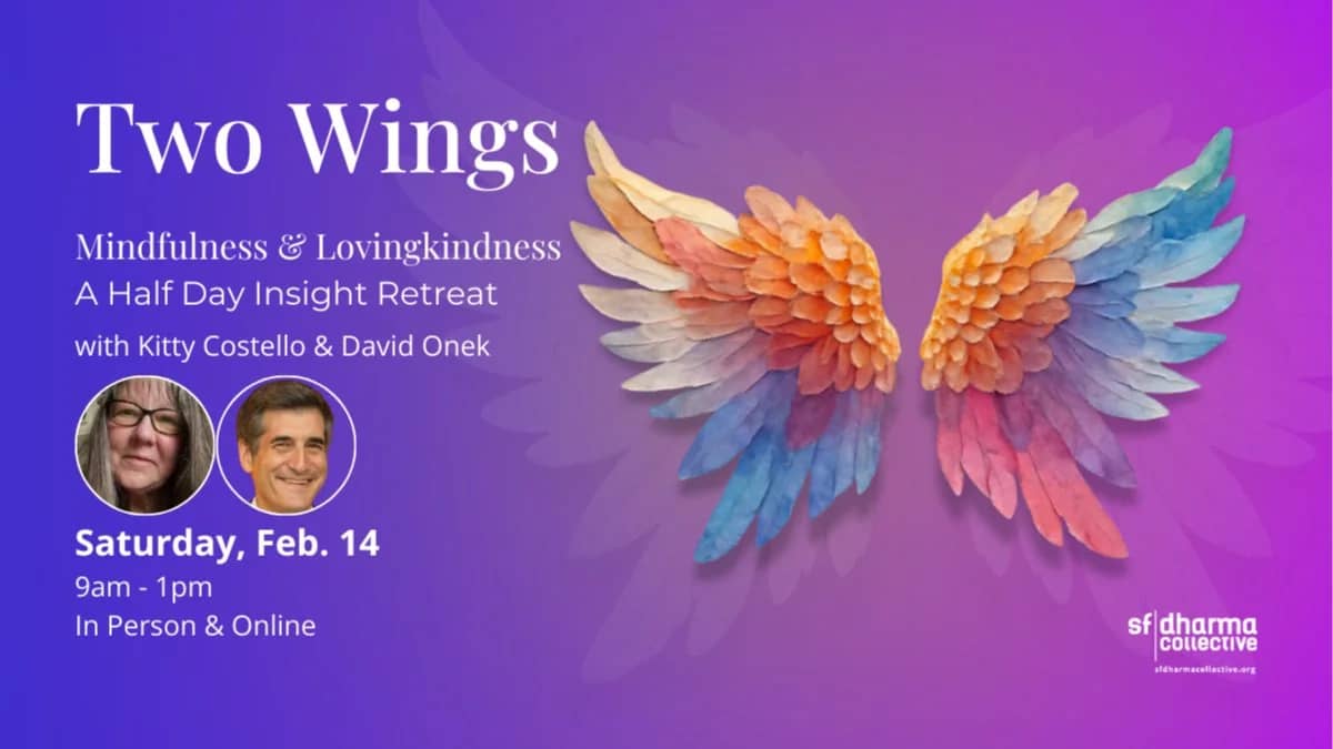 Cultivating a Boundless Heart