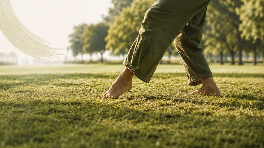 From Tai Chi into dance: qualities of movement