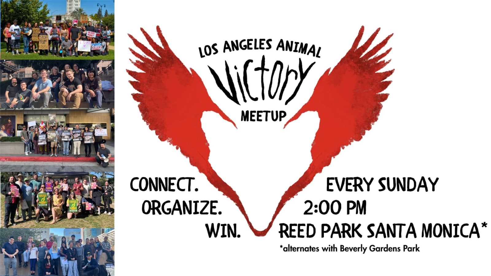Animal Victory Meetup - End Cages