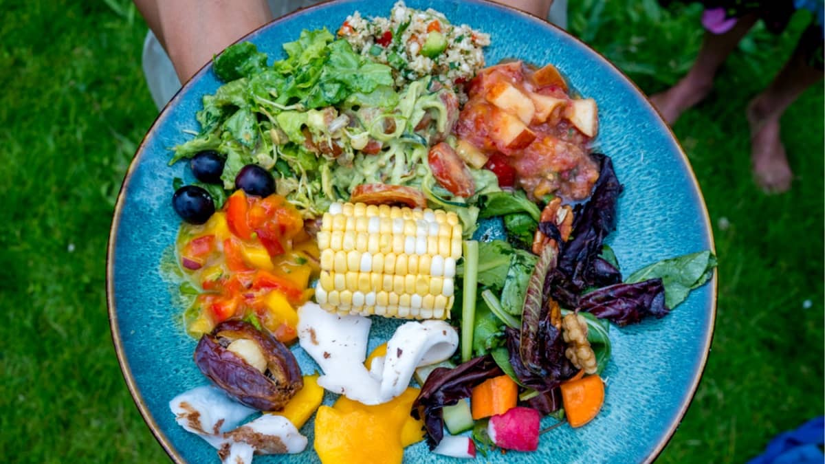Jeff's Labor Day Organic Raw Vegan Picnic Potluck