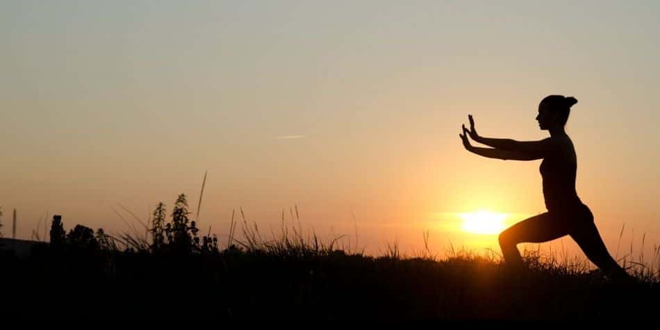 Beginners Tai Chi with Patrick Lau