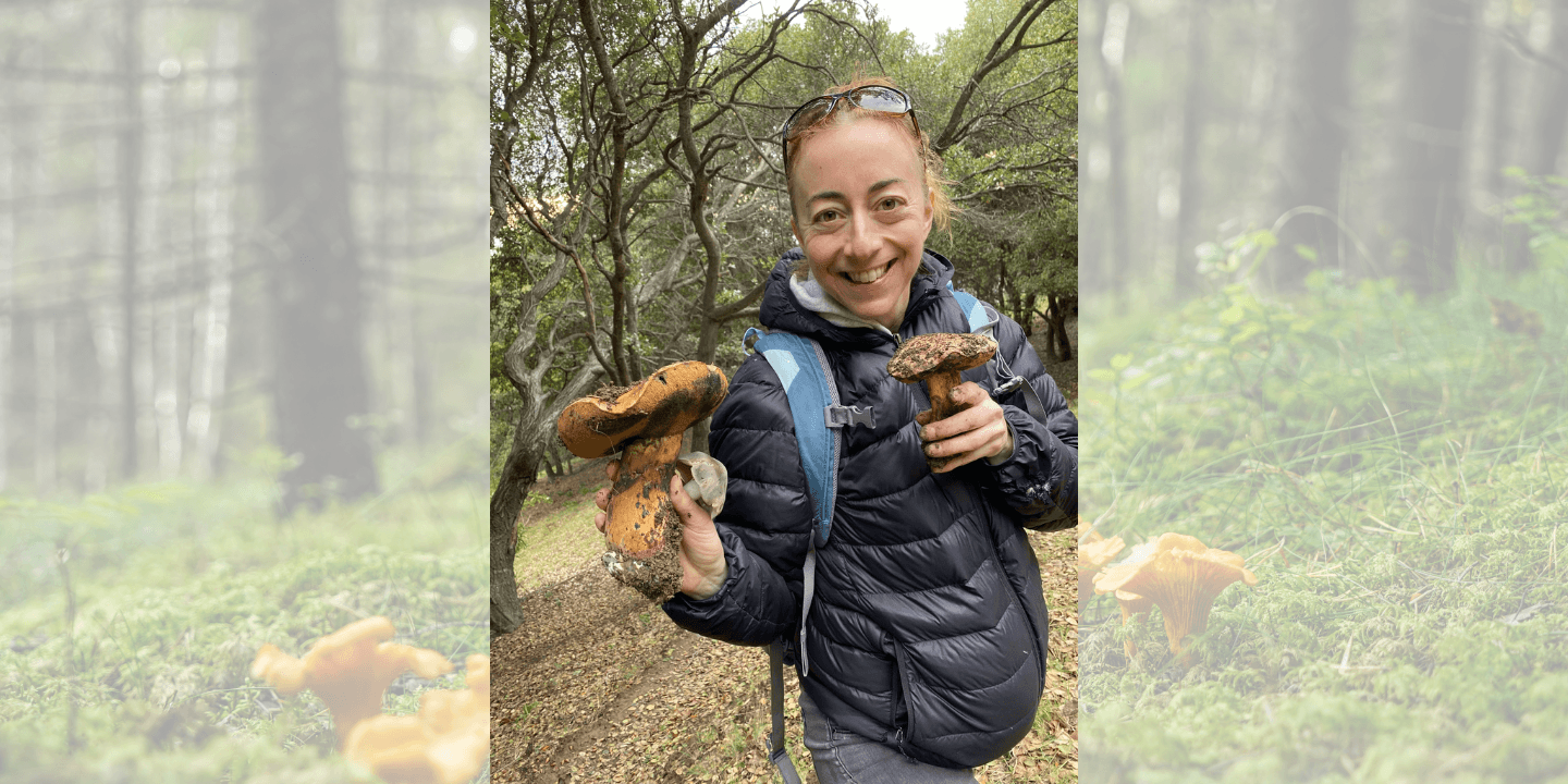 Presentation: Edible and Poisonous Mushrooms of Northern California