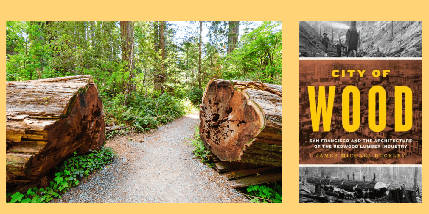 Author: James Michael Buckley, City of Wood