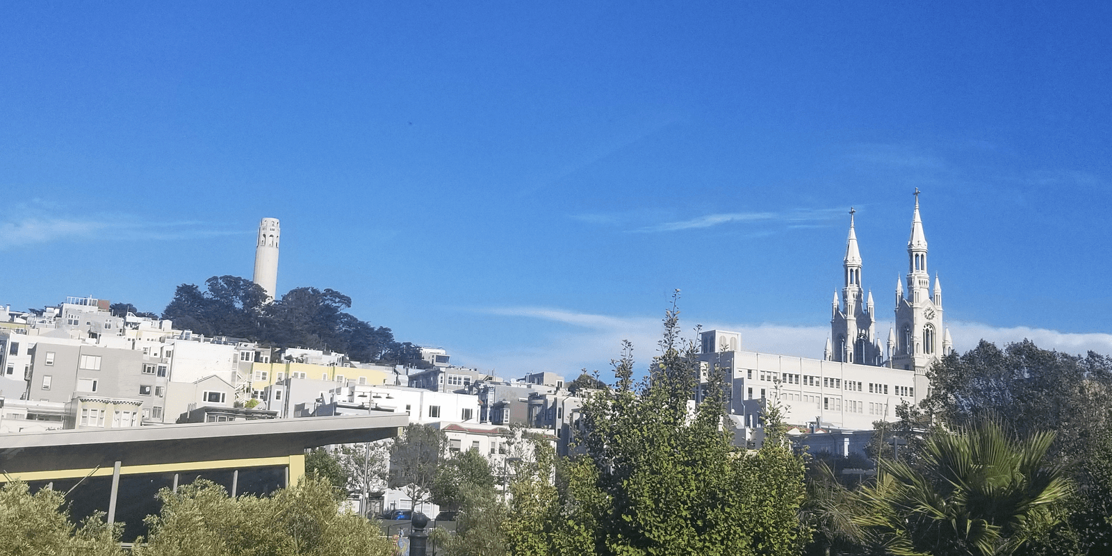 Activity: North Beach Walking Tour