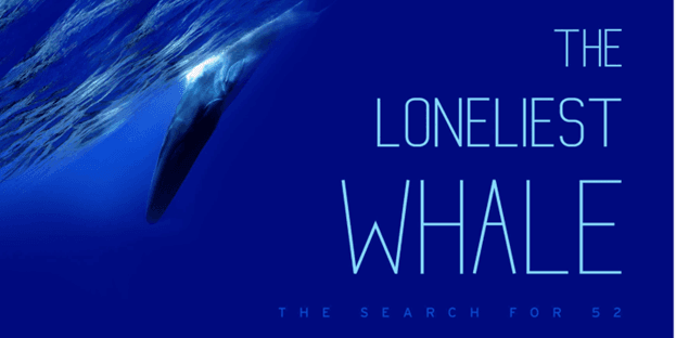 Film: The Loneliest Whale