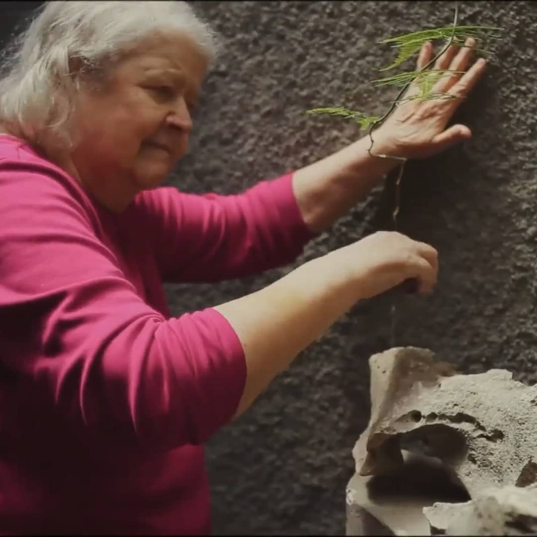 Exibição seguida de bate-papo | Amelia Toledo: lembrar de não esquecer