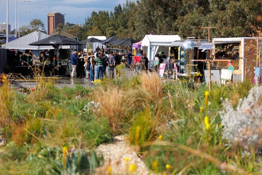 RESET: A Festival for Grounding and Growing