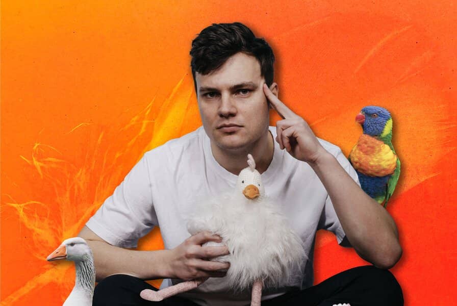 Oliver Pol: Featherbrained