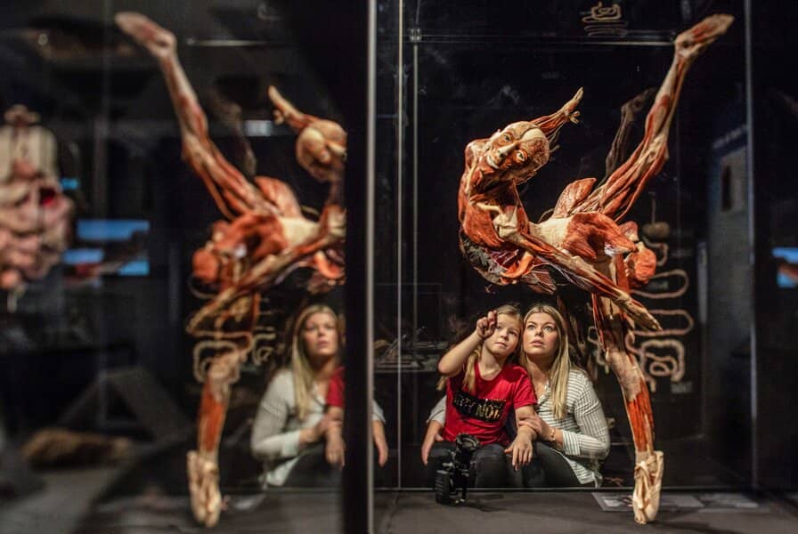 Body Worlds: The Anatomy of Happiness