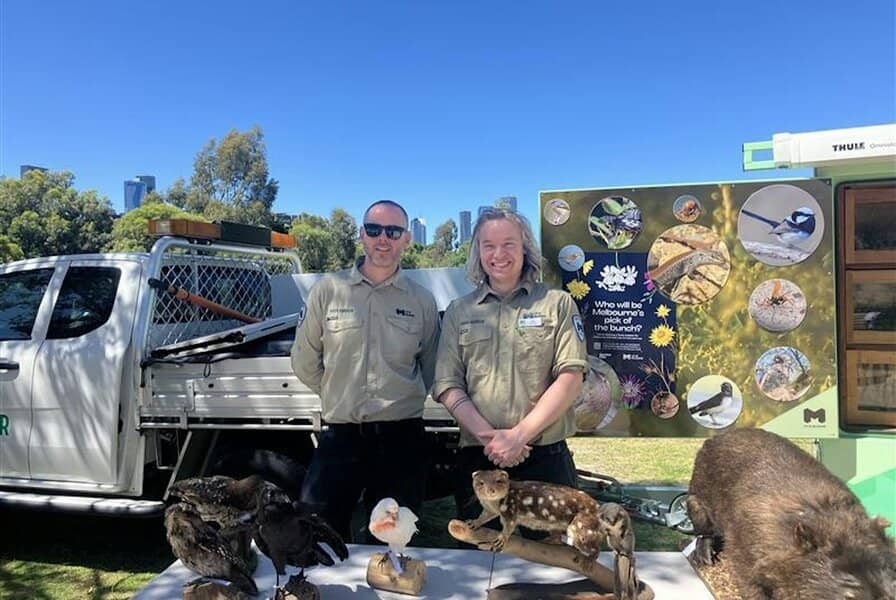 Junior Rangers - Wings and Wattles