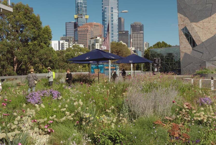Test Garden Open Day: Birds in the Big City