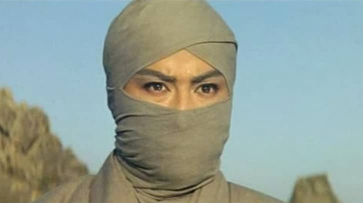 Le Ninja du vent