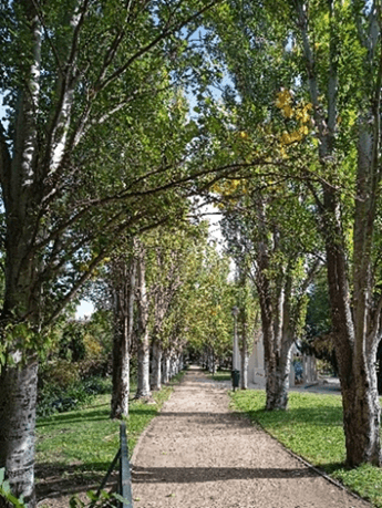 Senda botánica por Pradolongo