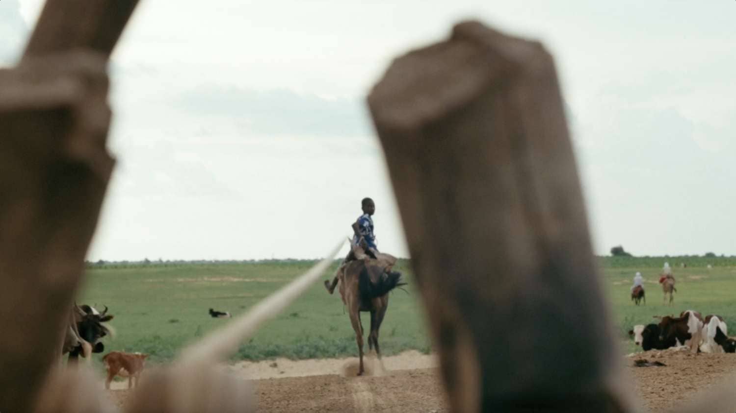 Sección cortometrajes Internacional - AWFF 26