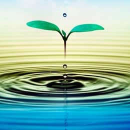 Meditación para principiantes