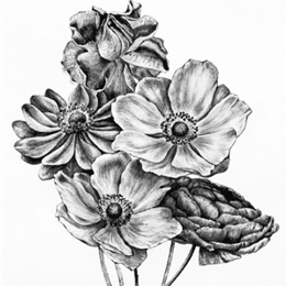 Taller de dibujo